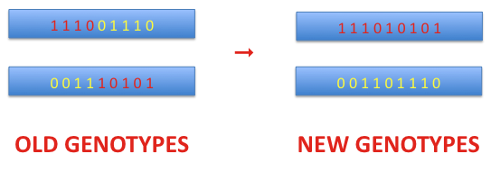 genetic algorithms, genetic populations, computer simulations, optfinder, taketechease