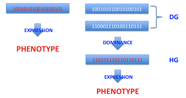 genetic algorithms, genetic populations, computer simulations, optfinder, taketechease